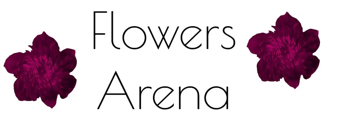 Flowers Arena